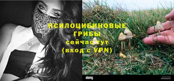таблы Надым