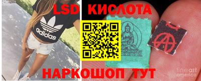 герыч Кингисепп