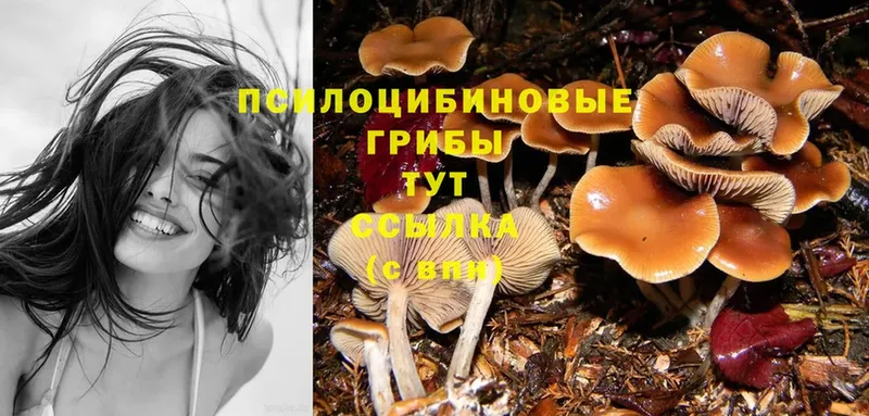 Галлюциногенные грибы MAGIC MUSHROOMS  Куйбышев 