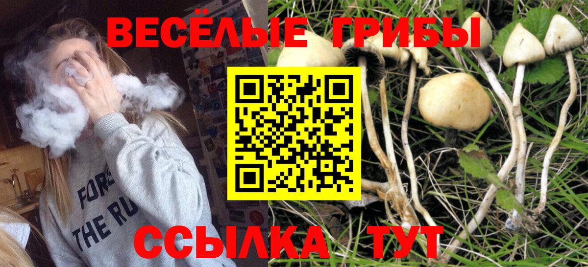 Псилоцибиновые грибы Magic Shrooms  Псилоцибиновые грибы Psilocybine cubensis  Куйбышев  сколько стоит  Вход с VPN 