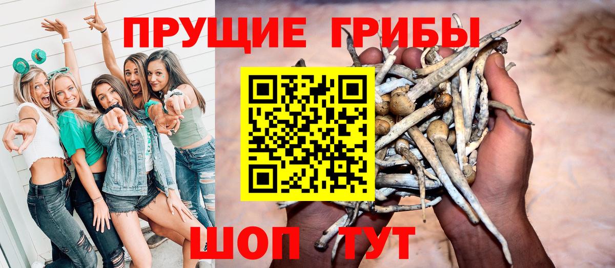 Псилоцибиновые грибы мухоморы Куйбышев